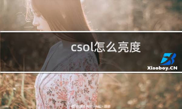 csol怎么亮度