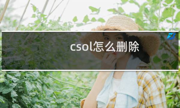 csol怎么删除