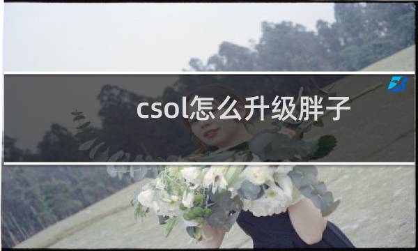 csol怎么升级胖子