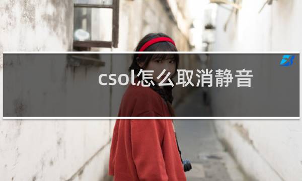 csol怎么取消静音