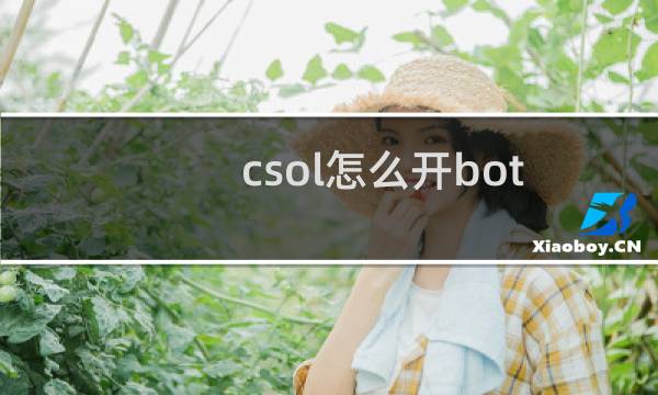 csol怎么开bot