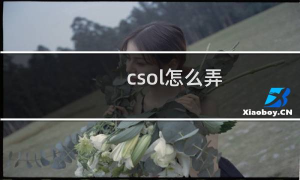 csol怎么弄