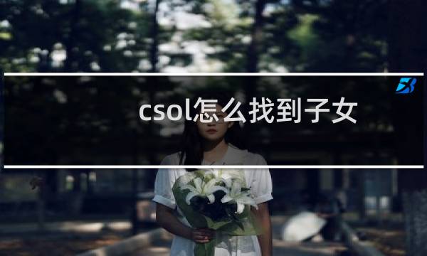 csol怎么找到子女
