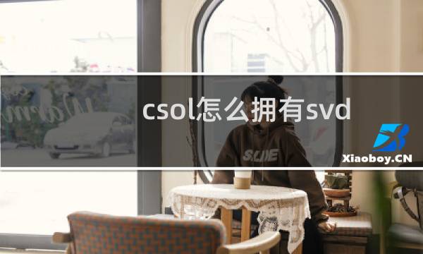 csol怎么拥有svd