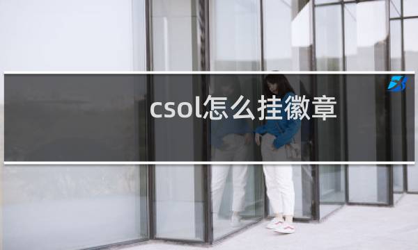 csol怎么挂徽章