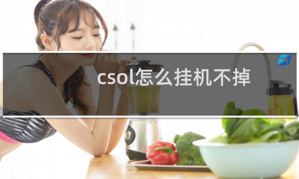 csol怎么挂机不掉