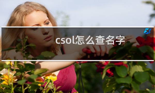 csol怎么查名字