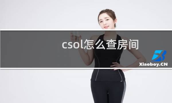 csol怎么查房间