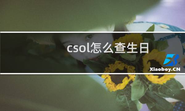 csol怎么查生日