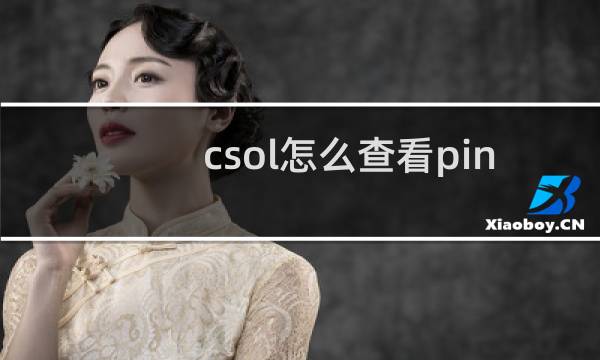 csol怎么查看pin