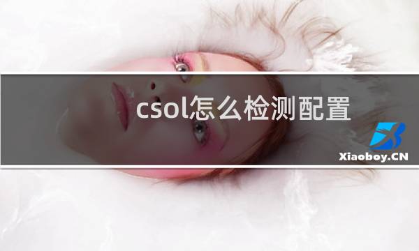 csol怎么检测配置