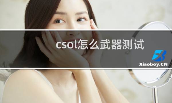 csol怎么武器测试