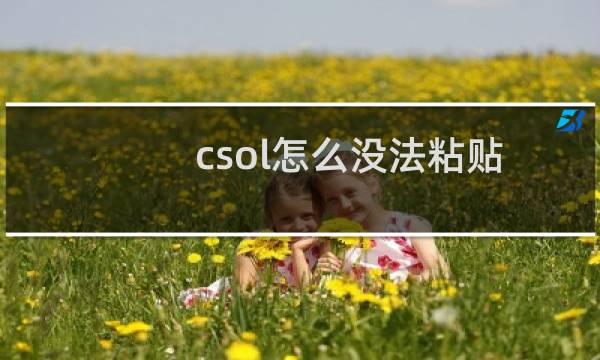 csol怎么没法粘贴