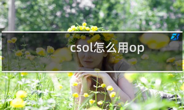 csol怎么用op