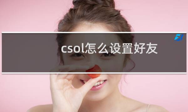 csol怎么设置好友