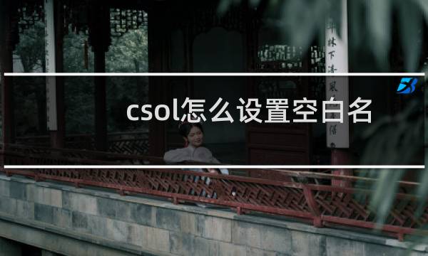csol怎么设置空白名