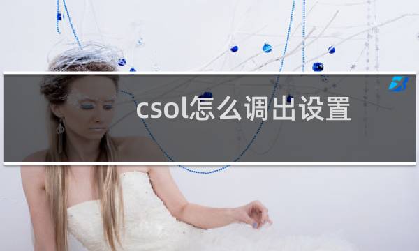 csol怎么调出设置