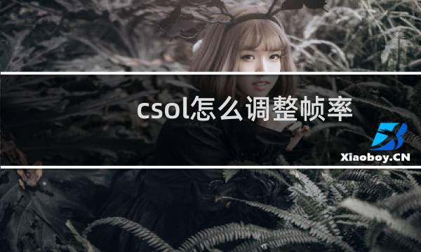 csol怎么调整帧率