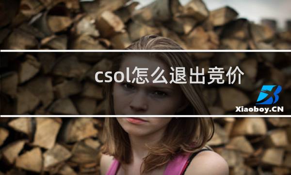 csol怎么退出竞价