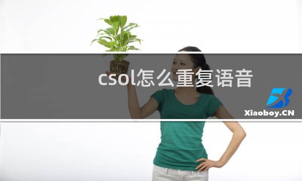 csol怎么重复语音