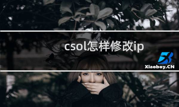 csol怎样修改ip