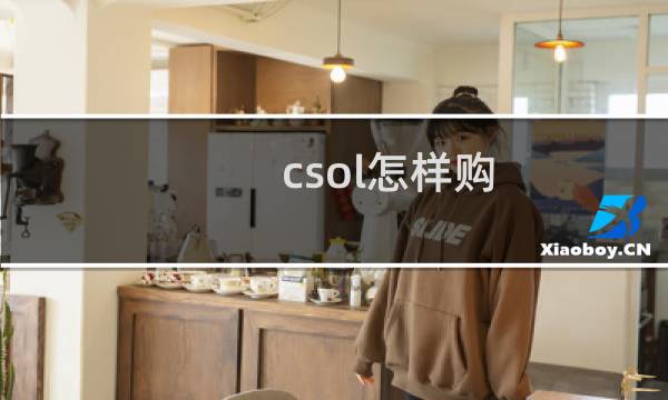 csol怎样购