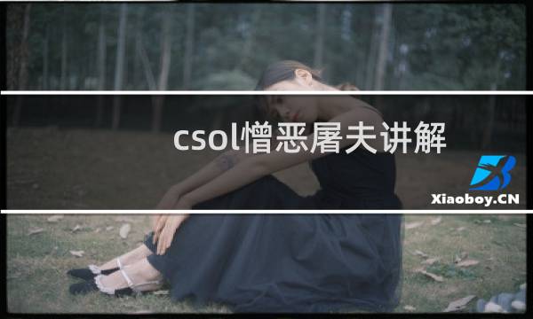 csol憎恶屠夫讲解