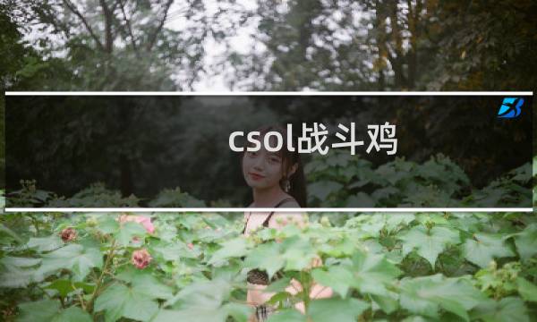 csol战斗鸡