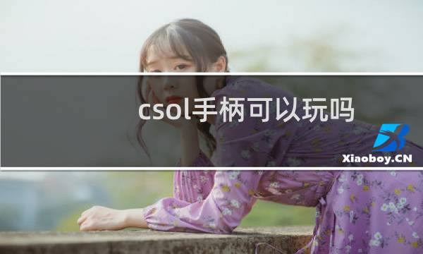 csol手柄可以玩吗