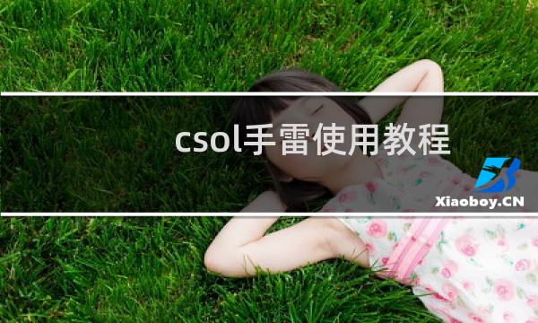 csol手雷使用教程