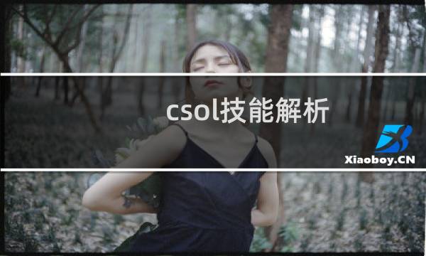 csol技能解析