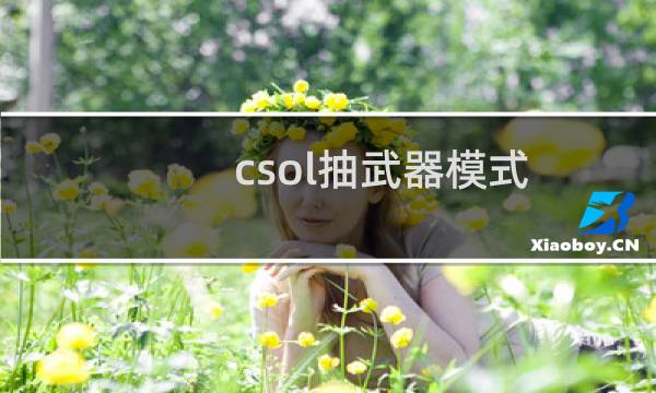 csol抽武器模式