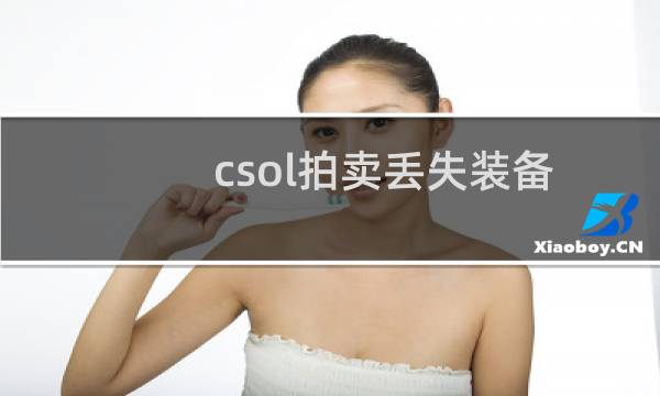 csol拍卖丢失装备