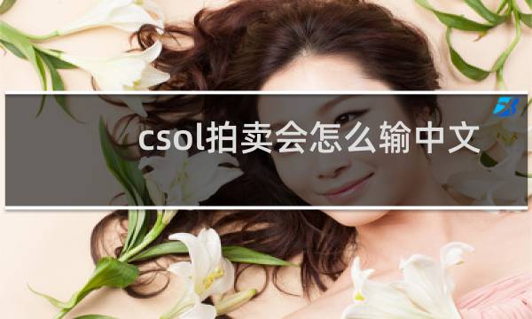 csol拍卖会怎么输中文