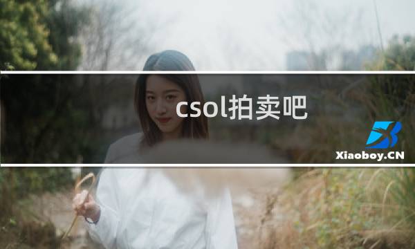 csol拍卖吧
