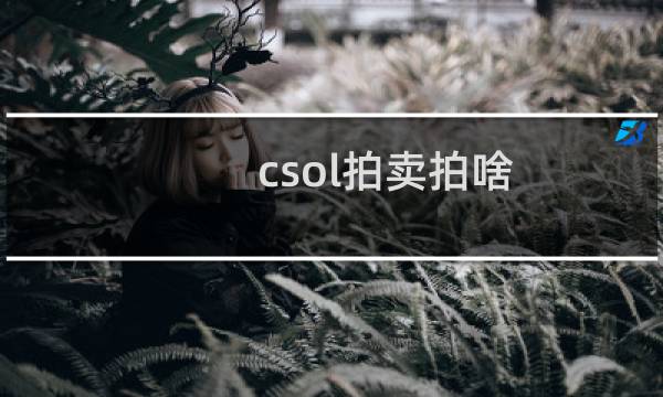 csol拍卖拍啥