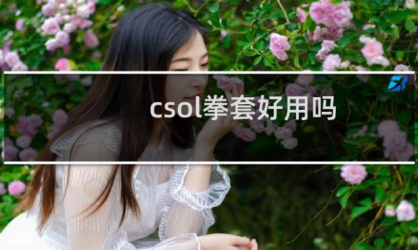 csol拳套好用吗
