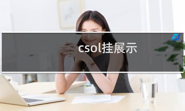 csol挂展示
