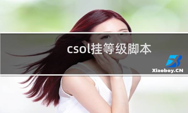 csol挂等级脚本