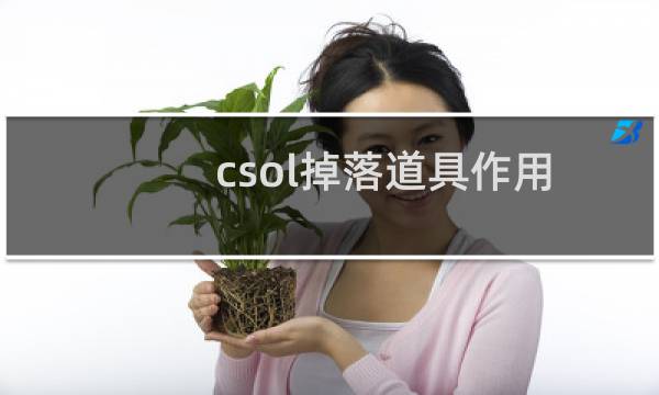csol掉落道具作用