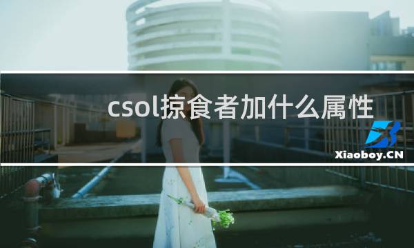 csol掠食者加什么属性