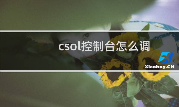 csol控制台怎么调