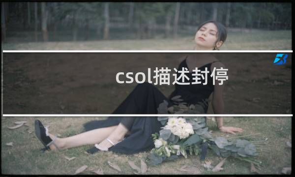 csol描述封停