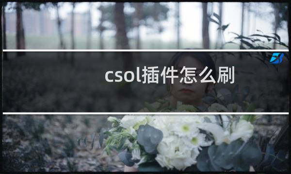 csol插件怎么刷