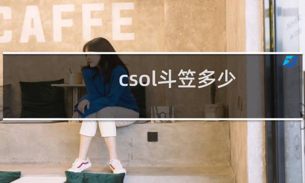 csol斗笠多少