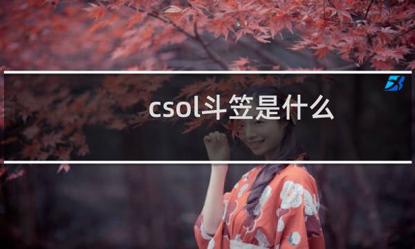 csol斗笠是什么