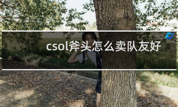 csol斧头怎么卖队友好