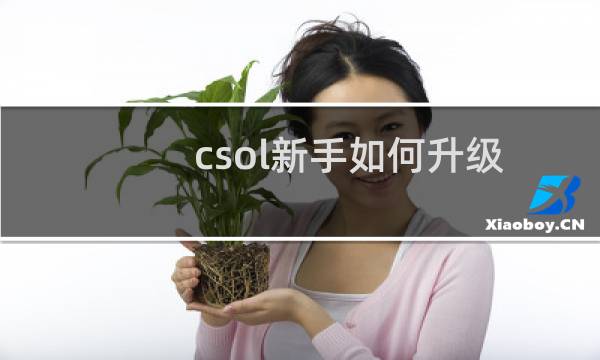 csol新手如何升级