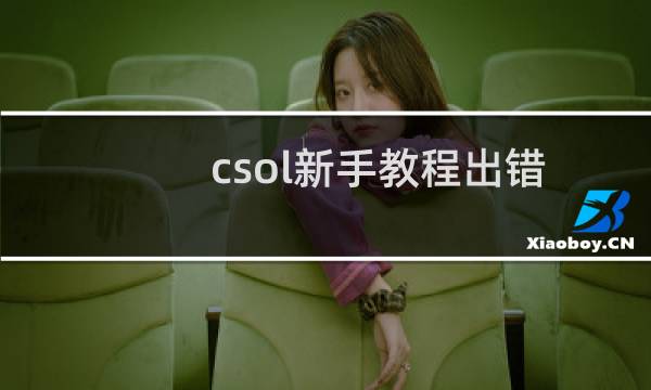csol新手教程出错