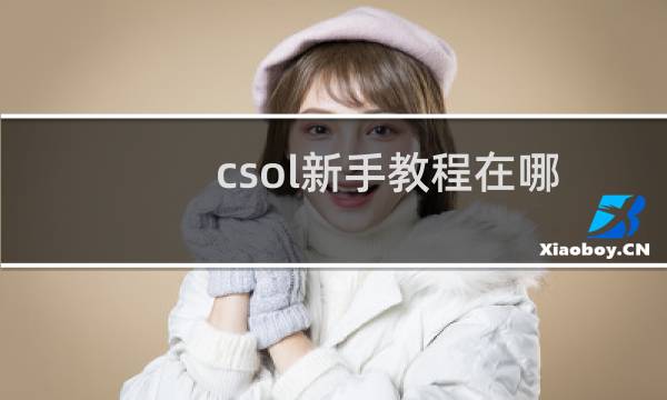 csol新手教程在哪